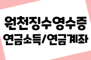 연금소득 지급명세서